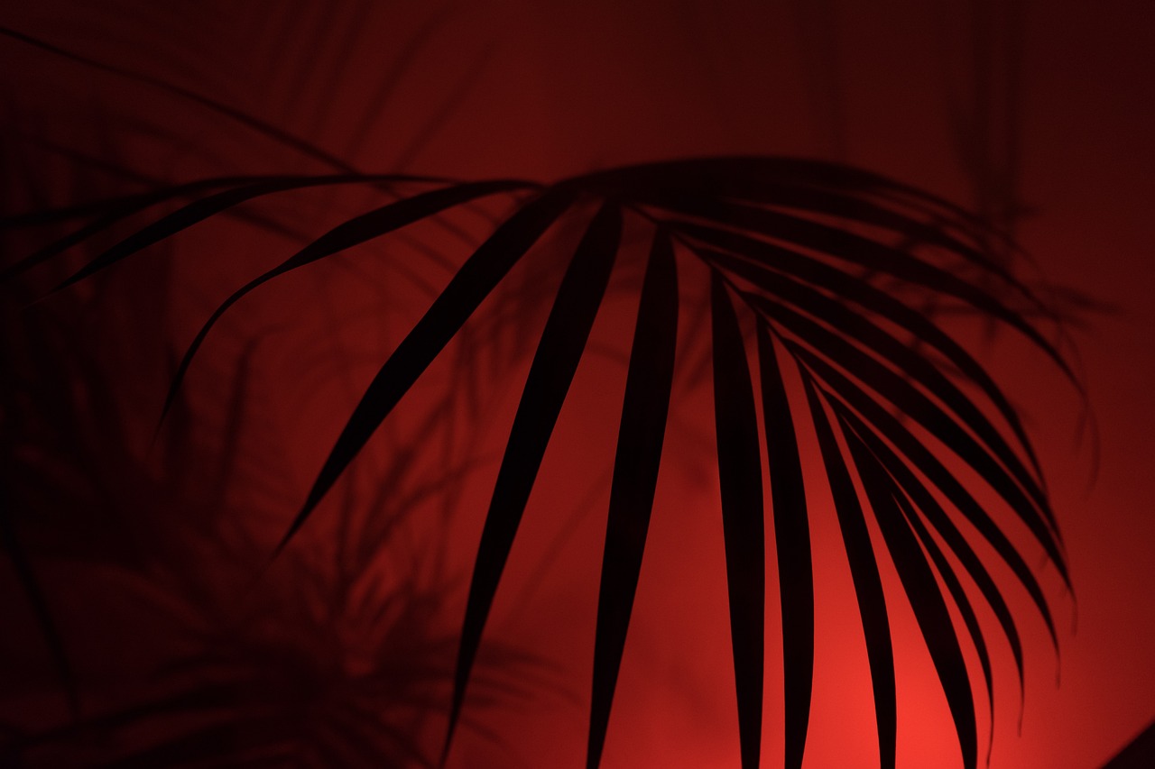 [animation, game] Parallax in the Jungle.